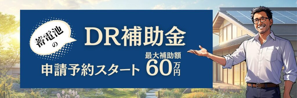 2025年(令和7年)のDR補助金の「申請予約」スタート!