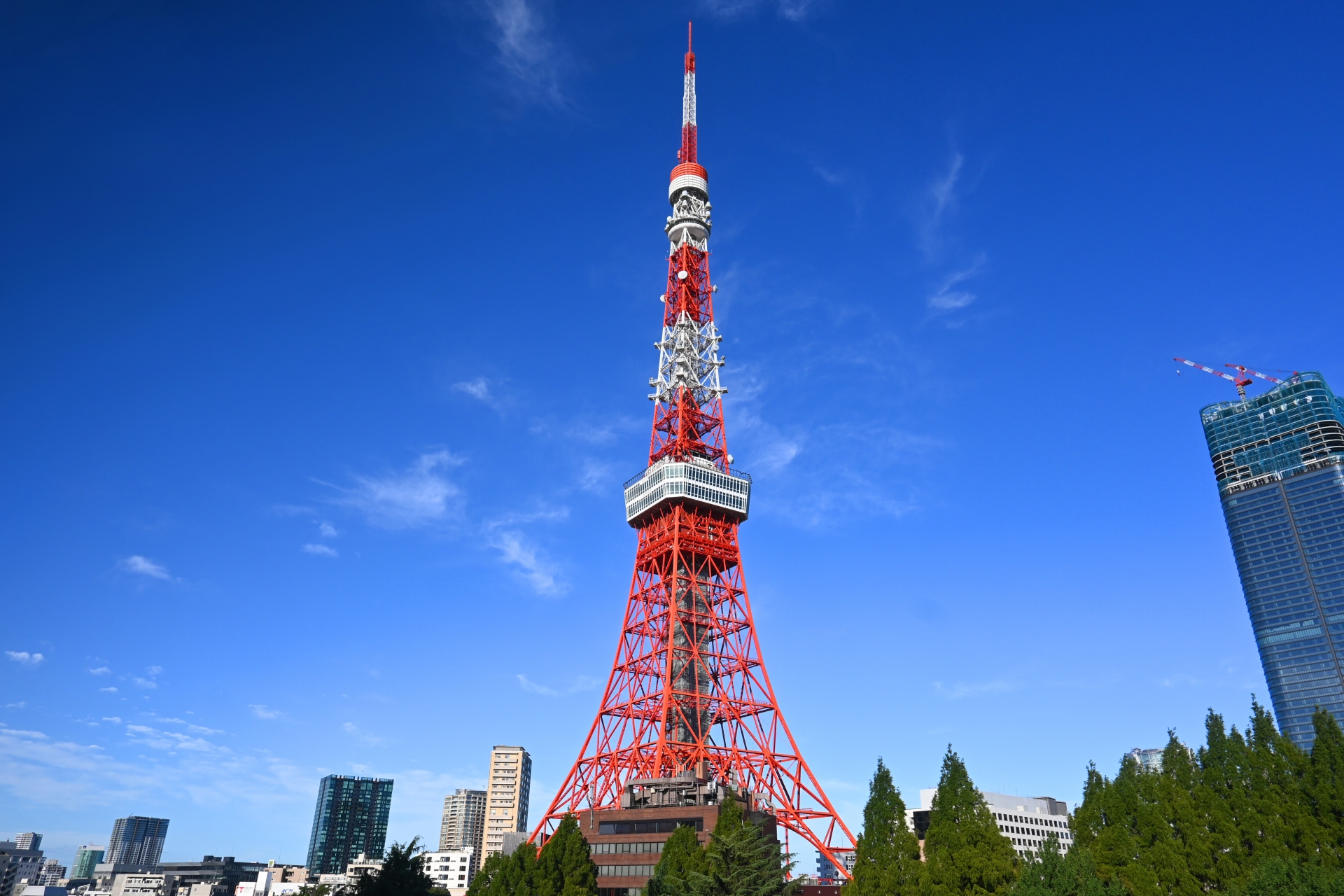 夏の快晴の朝に見上げる東京タワー　アイキャッチ画像