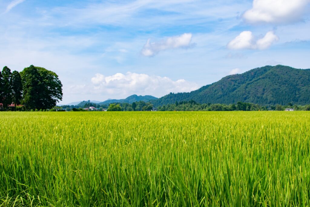 田舎