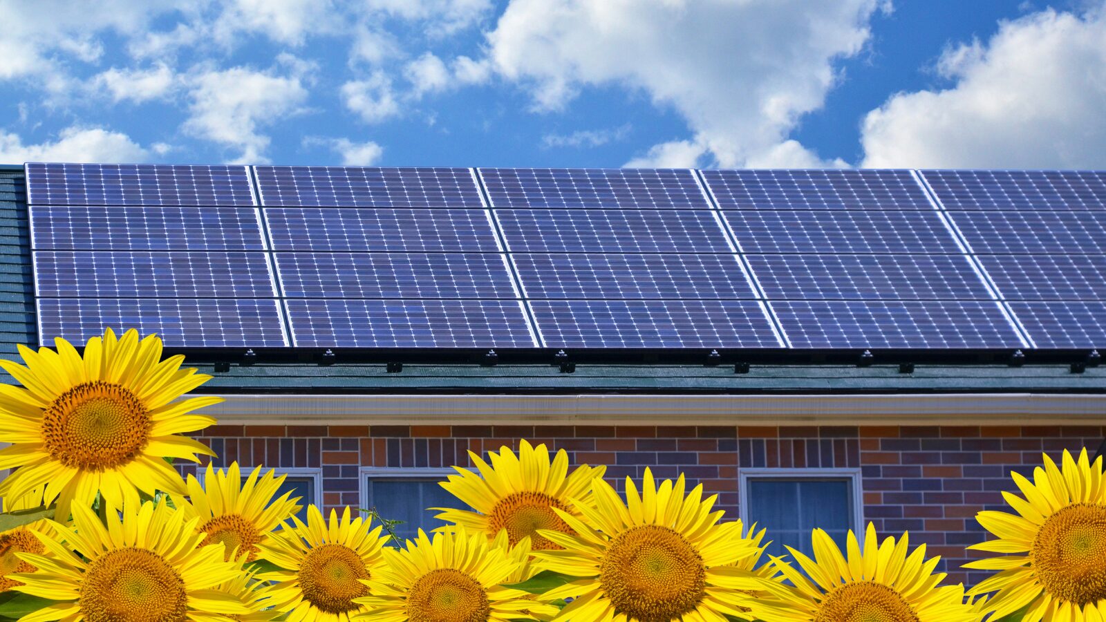 太陽光発電の選び方を見る >